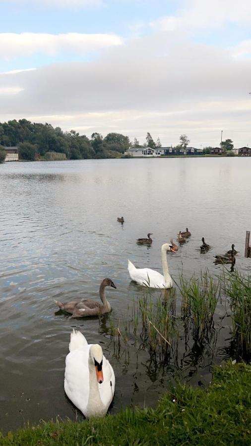 Widgeon Bespoke Cabin Is Lakeside With Private Fishing Peg, Hot Tub Situated At Tattershall Lakes Country Park エクステリア 写真